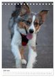 Thumbnail-11