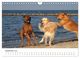 Thumbnail-11