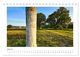 Thumbnail-9