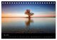 Thumbnail-10