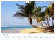 Thumbnail-10