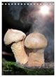 Thumbnail-10