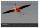 Thumbnail-11
