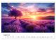 Thumbnail-13