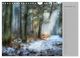 Thumbnail-14