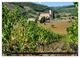 Thumbnail-14