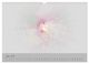 Thumbnail-12