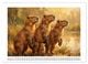 Thumbnail-13