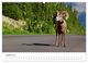 Thumbnail-12