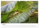 Thumbnail-10