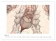Thumbnail-9