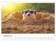Thumbnail-10