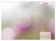 Thumbnail-9