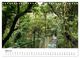 Thumbnail-9