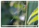 Thumbnail-14