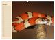 Thumbnail-11