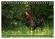 Thumbnail-14