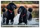 Thumbnail-11