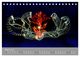 Thumbnail-8