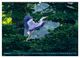 Thumbnail-13