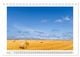 Thumbnail-12