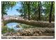 Thumbnail-14