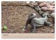 Thumbnail-11