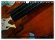Thumbnail-12