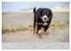 Thumbnail-12