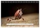 Thumbnail-9