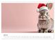 Thumbnail-9
