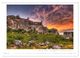 Thumbnail-8