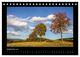 Thumbnail-11