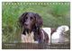 Thumbnail-14