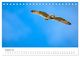 Thumbnail-10