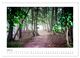 Thumbnail-12