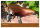 Thumbnail-13