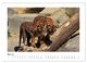 Thumbnail-10