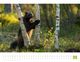 Thumbnail-9