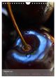 Thumbnail-12