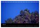 Thumbnail-11
