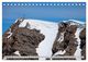 Thumbnail-11