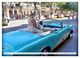Thumbnail-13