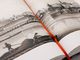 Thumbnail-8