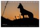 Thumbnail-10