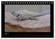 Thumbnail-9