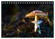 Thumbnail-9