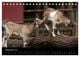Thumbnail-11