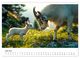 Thumbnail-11