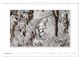 Thumbnail-13